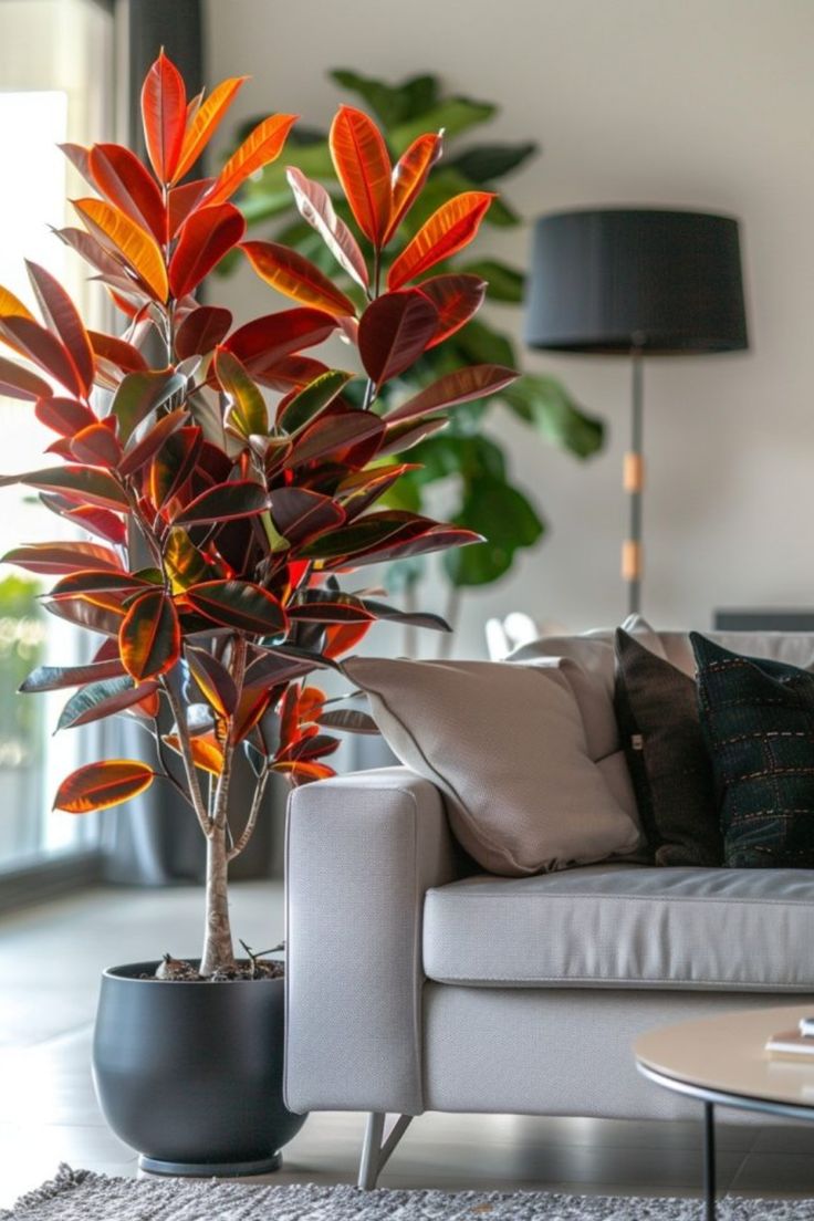 Indoor Plants,Luxury Home Decor